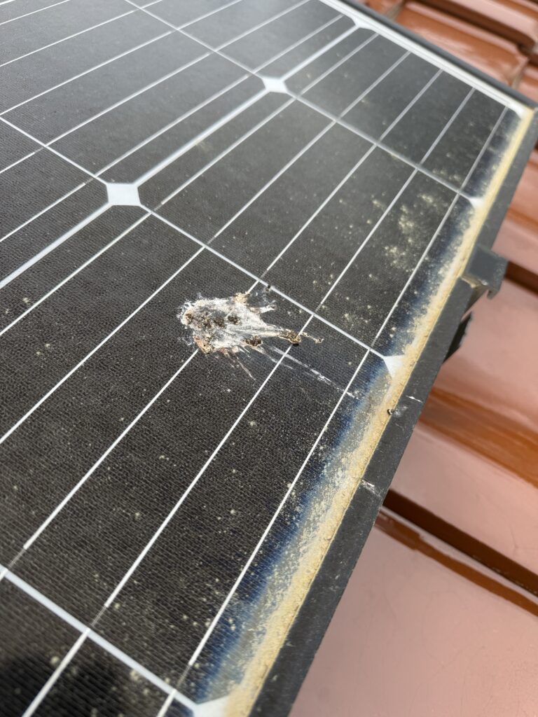 太陽光パネルに付着した鳥のフン