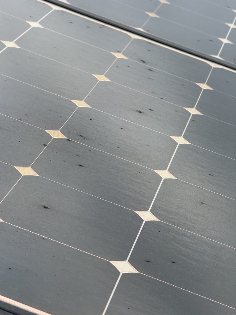 太陽光パネルに発生したコケ・水アカ